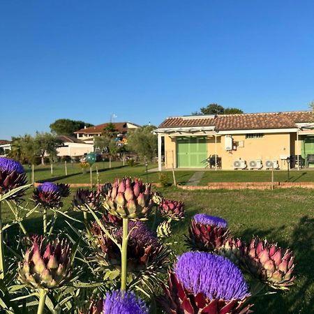 Villa Il Giardino Di Nunzia à Principina Terra Extérieur photo