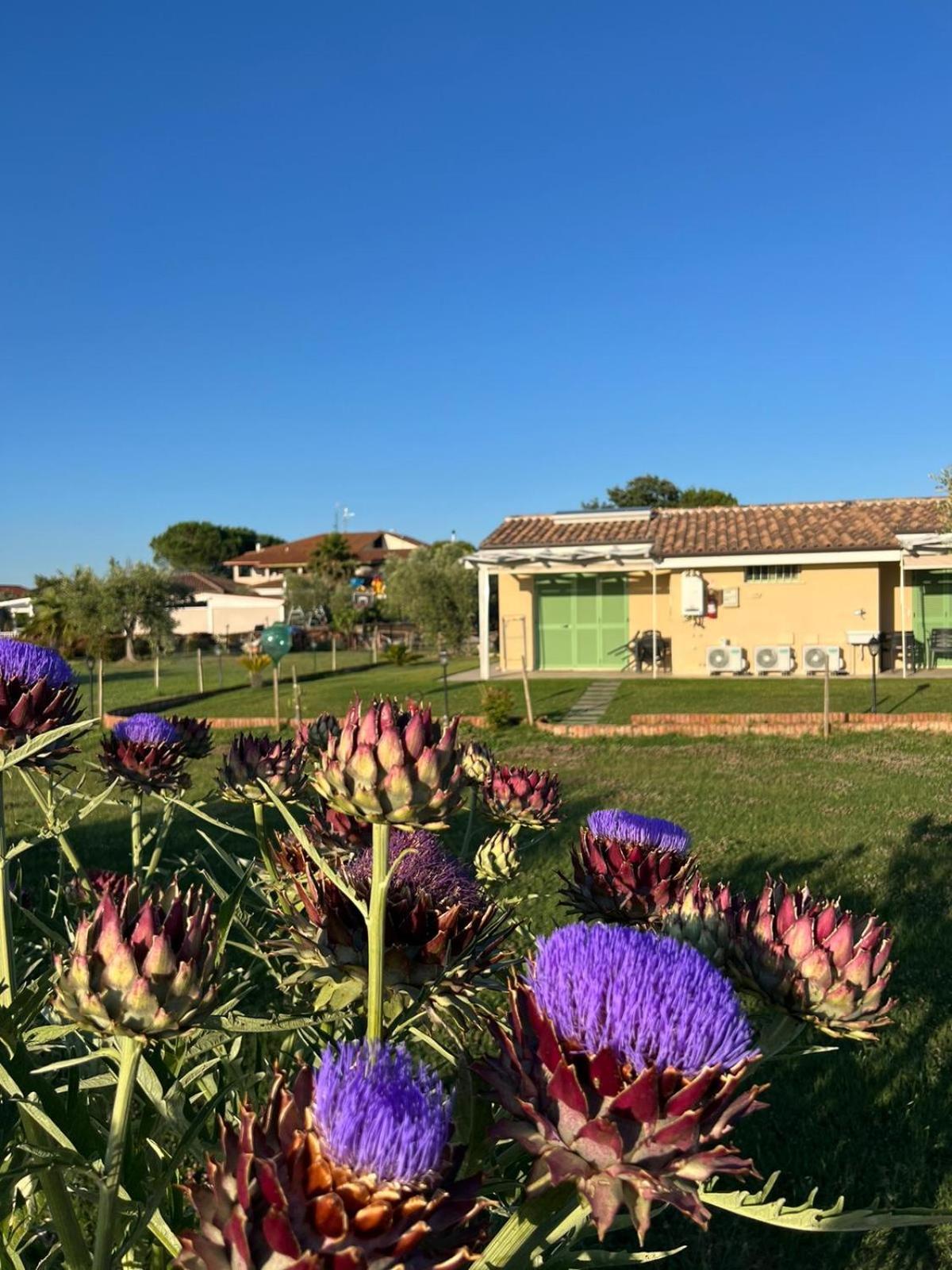 Villa Il Giardino Di Nunzia à Principina Terra Extérieur photo